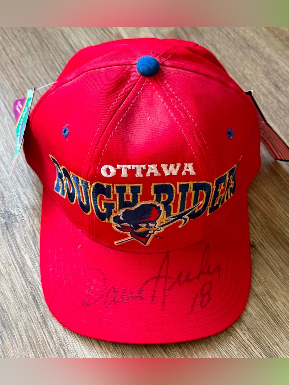 Vintage 1990s Ottawa Riders CFL snapback hat